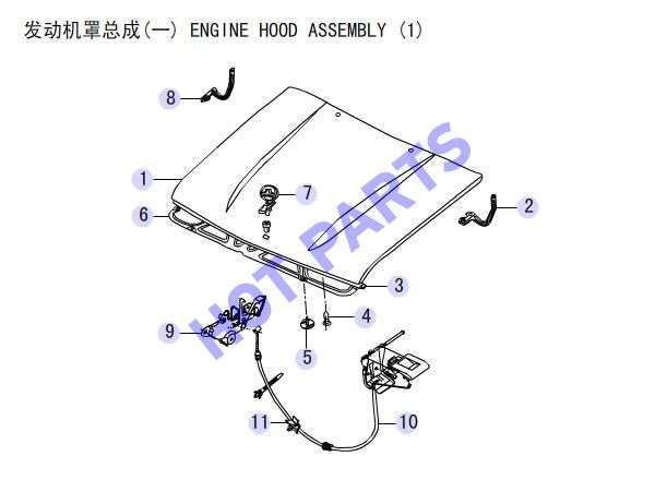 ENGINE HOOD ASSEMBLY (1)