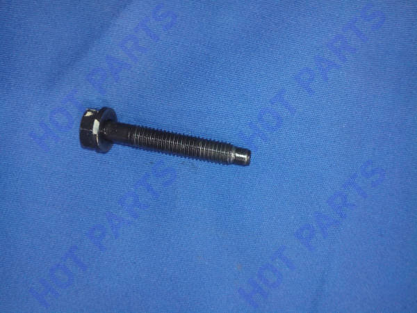 картинка Bolt -- не разобрано 2 LF479Q1-1003114A