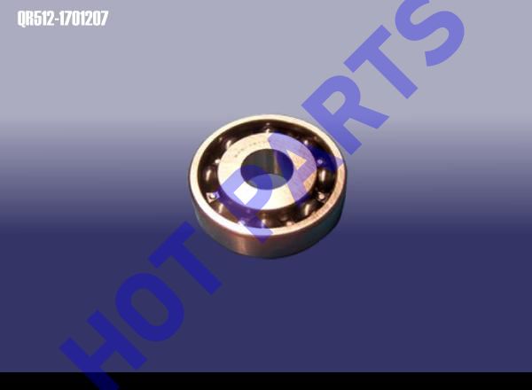 картинка FR BEARING - SHAFT INPUT  QR512-1701207