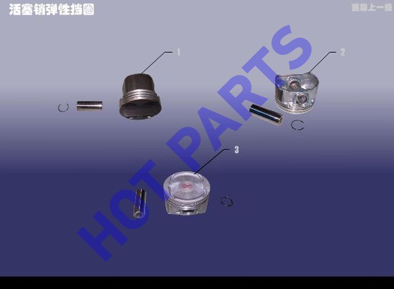 PISTON WITH PISTON PIN AND SPRING RING